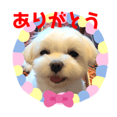 omochi_20210220132830