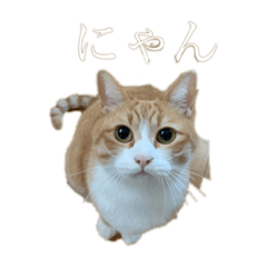 Hiyori_20210220134042