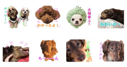 Petstamp collection 2017