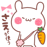 SAE STICKER
