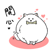 Cute pomeranian,NINIs lovely life !