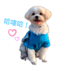 豆漿ㄉ專屬貼圖 1