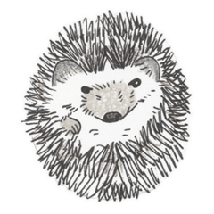 Momo the Hedgehog