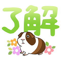 Guinea pig characters -4