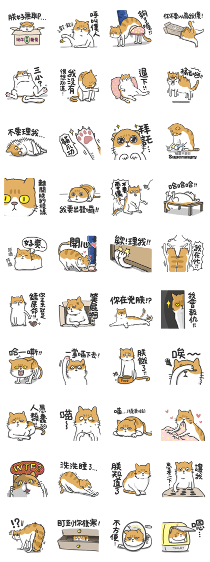 Meow Meow i'm a cat