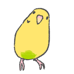 budgerigar nikoniko2