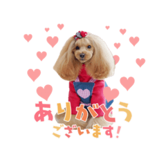 mimi_20210220153351