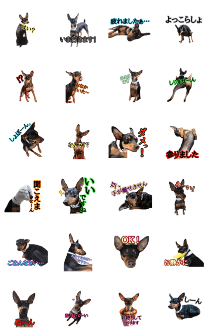 Minipin Bambi Sticker(Japanese)