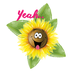 sun funny flower