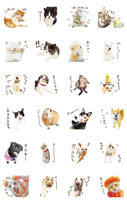funny animals stickers4
