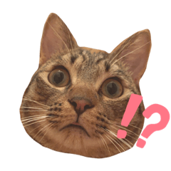 saori_20210220172357