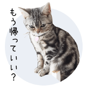 Lily's Sticker