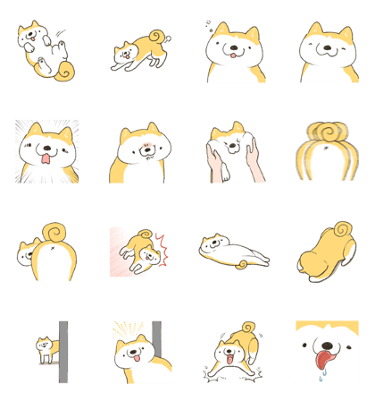 Akita-inu-chiyo