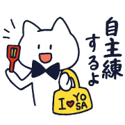 oridinary cat -ver.yosakoi-