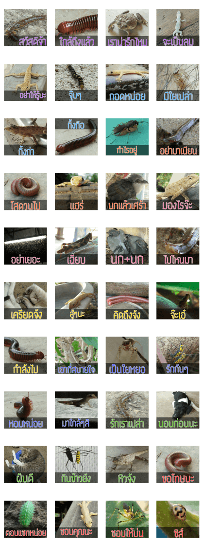 Naughty Animals