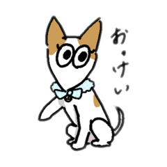 koko_20210220210928