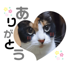 Mizuki_20210220214308