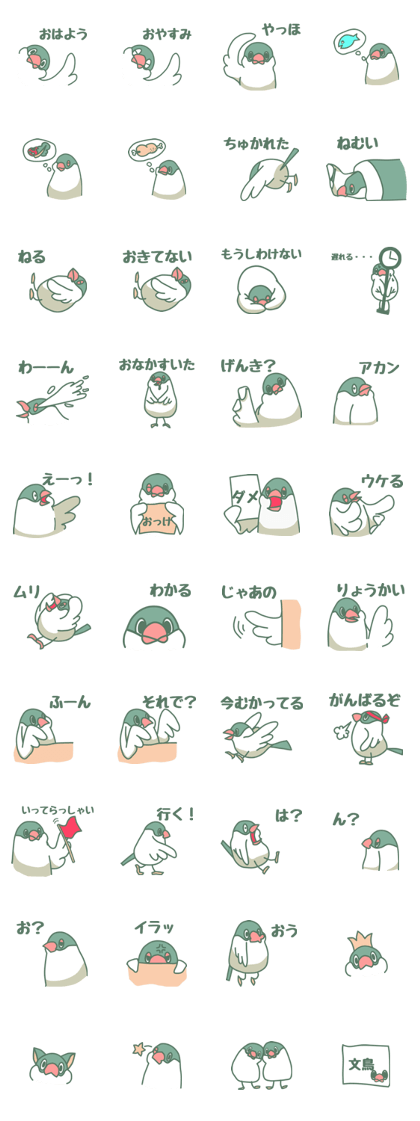 Cherry blossom java sparrow