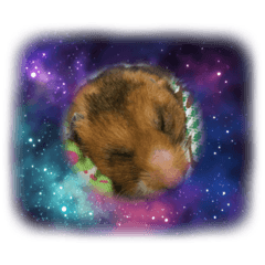 haruna_20210220225830