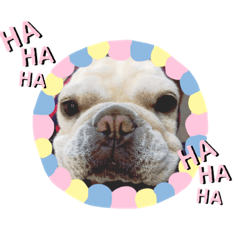 saori_20210220232412