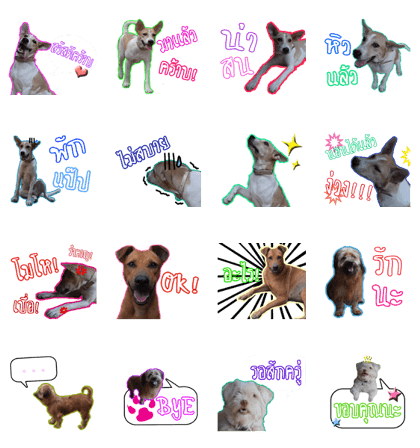 Dug-Dig & Friends!