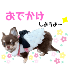 Yuka_20210221013551
