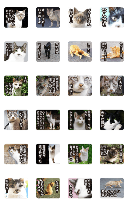 Claiming cats