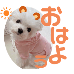 omochi_20210221080010