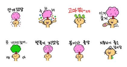 Spring Cat Forever (Korean version)