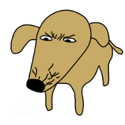 Lovely sausage dog 4