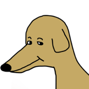Lovely sausage dog 1