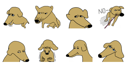 Lovely sausage dog 1