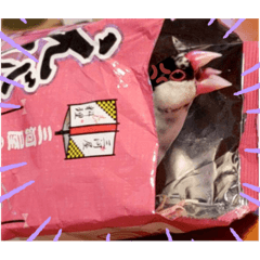 hana_20210220185551