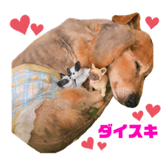 arisa_20210220185844