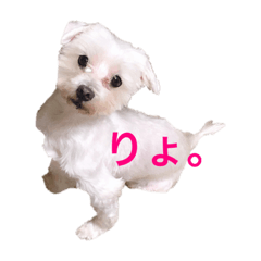 saya_20210220200552