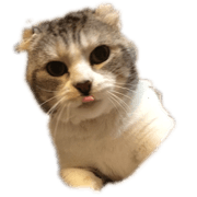 momosaburou