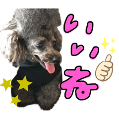 yuka_20210221100343