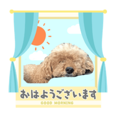 chie_20210220213535