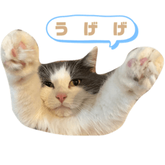 mimi_20210220222848