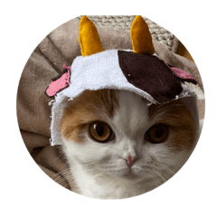 AKIKO_20210221001306