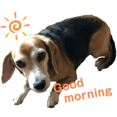 Cocoa_20210220230358