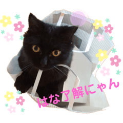 HANA_20210221101739