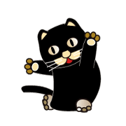500 cats 5-027t-3