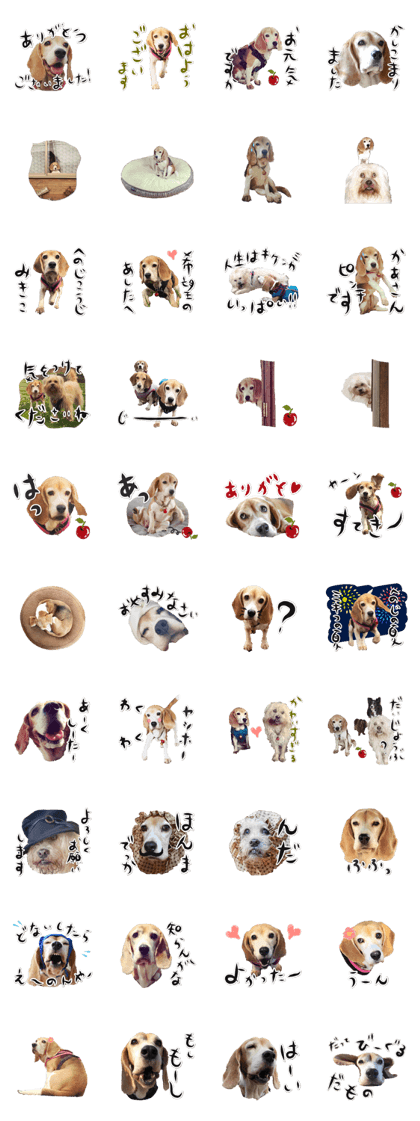 MIKIKO THE BEAGLE&KYON