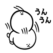 Bichon-chan the fluffy Bichon frise!