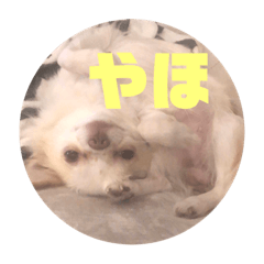 omochi_20210221011433