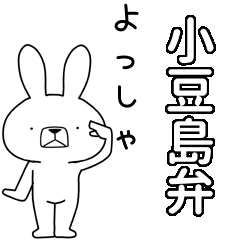 BIG Dialect rabbit[shodoshima]
