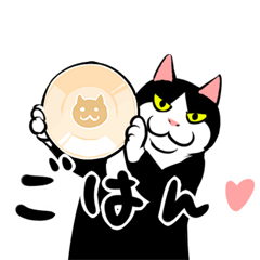 A little fat cat anime (full of energy)