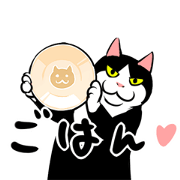 A little fat cat anime (full of energy)