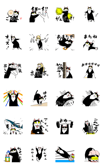 A little fat cat anime (full of energy)